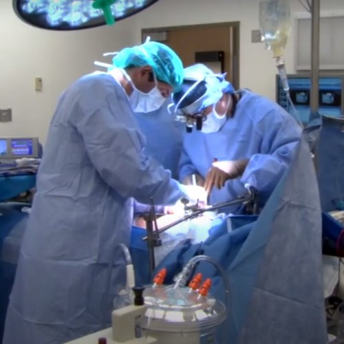 Liver Transplant Program Baylor Scott & White Health